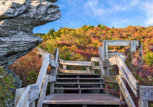 What is North Carolina Known For in the Industry?